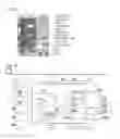 Fig. 11 - Compositions and methods for modulating an immune response