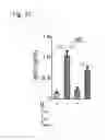 Fig. 23 - Compositions and methods for modulating an immune response