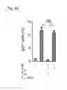 Fig. 24 - Compositions and methods for modulating an immune response