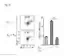 Fig. 30 - Compositions and methods for modulating an immune response