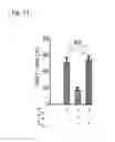 Fig. 31 - Compositions and methods for modulating an immune response