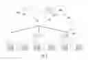 Fig. 02 - Purification of polymerase complexes