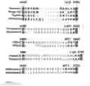 Fig. 02 - RECOMBINANT SERINE PROTEASES