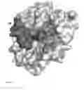 Fig. 04 - RECOMBINANT SERINE PROTEASES
