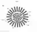 Fig. 07 - SINGLE CELL ANALYSIS OF TRANSPOSASE ACCESSIBLE CHROMATIN