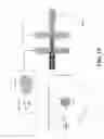 Fig. 24 - SINGLE CELL ANALYSIS OF TRANSPOSASE ACCESSIBLE CHROMATIN