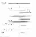 Fig. 01 - Single cell analysis of transposase accessible chromatin