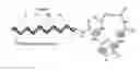 Fig. 07 - METHOD FOR IDENTIFICATION OF MOLECULES WITH DESIRED CHARACTERISTICS