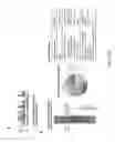 Fig. 11 - CRISPR-CAS SGRNA LIBRARY