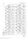 Fig. 07 - CELL IMMORTALIZATION VIA VORTEX ELECTROPORATION GENE DELIVERY
