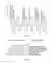 Fig. 08 - Using RNA-guided FokI nucleases (RFNs) to increase specificity for RNA-guided genome editing