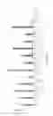 Fig. 25 - Using RNA-guided FokI nucleases (RFNs) to increase specificity for RNA-guided genome editing