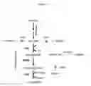 Fig. 03 - Methods and microorganisms for the production of 1,3-butanediol