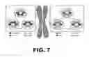 Fig. 08 - Methods and reagents for molecular proximity detection using RNA-guided nucleic acid binding proteins