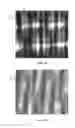 Fig. 07 - HYDROENTANGLED WOVEN FABRIC