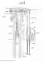 Fig. 07 - Flush water supply apparatus