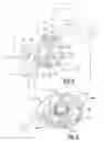 Fig. 04 - Closure latch for vehicle door having bidirectional power release function