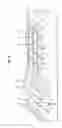 Fig. 05 - Door skin, method of etching plate for forming wood grain pattern in door skin, and etched plate formed therefrom
