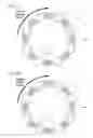 Fig. 09 - Ball bearing