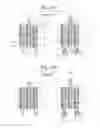 Fig. 11 - Wet-type multiple plate clutch