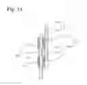 Fig. 13 - Wet-type multiple plate clutch