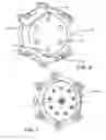 Fig. 06 - Spring applied, hydraulically released brake with manual override