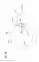 Fig. 08 - ROTATIONAL DRIVE ARRANGEMENT FOR ROTATING A VESSEL