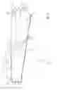 Fig. 06 - Light guiding device, illumination device, and rear view device therewith