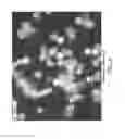 Fig. 07 - ENCAPSULATED QUANTUM DOTS IN POROUS PARTICLES