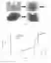 Fig. 03 - Method for identifying a degree of soiling of a cooking appliance interior