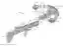Fig. 01 - Crossbow with take-apart stock