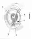 Fig. 06 - Integrated event detection and electrical generator devices for a gravity dropped or ejected weapons