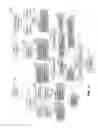 Fig. 15 - Motion detection method for transportation mode analysis