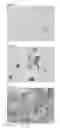 Fig. 06 - Cell-holding substrate holder for preparing observation specimen, kit including same, and observation specimen preparation method