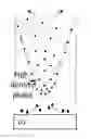 Fig. 01 - Device for collecting and enriching microbes