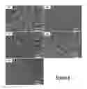 Fig. 05 - In-situ identification and control of microstructures produced by phase transformation of a material