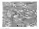 Fig. 01 - Silver alloy-based sputter target