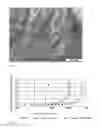 Fig. 06 - Silver alloy-based sputter target