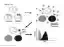 Fig. 01 - Antibody detection method and system