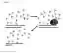 Fig. 04 - Antibody detection method and system