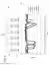 Fig. 07 - Optical assay device with pneumatic sample actuation