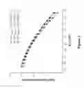 Fig. 06 - Polymers and nanogel materials and methods for making and using the same