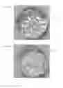 Fig. 02 - SHAPED ARTICLE