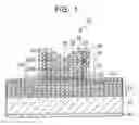 Fig. 02 - Surface light emitting semiconductor laser element