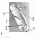 Fig. 07 - Erector cam