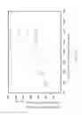 Fig. 16 - Optical fiber design method