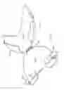 Fig. 07 - Item of headwear