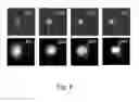 Fig. 08 - Spatial light structuring using a combination of multiple orthogonal orbital angular momentum beams with complex coefficients