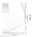 Fig. 08 - PROJECTION USING LIQUID CRYSTAL POLARIZATION GRATINGS TO MODULATE LIGHT