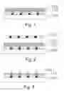 Fig. 02 - Method for manufacturing an organic functional layer in a display panel